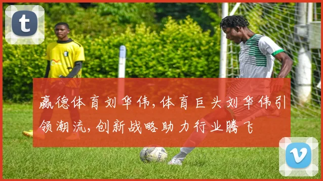 赢德体育刘华伟,体育巨头刘华伟引领潮流,创新战略助力行业腾飞