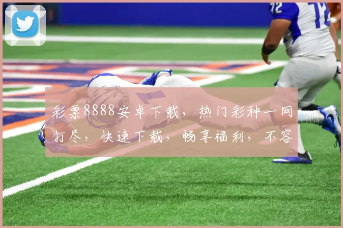 彩票8888安卓下载，热门彩种一网打尽，快速下载，畅享福利，不容错过，立即体验