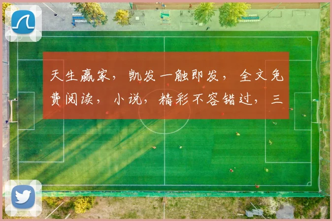 天生赢家，凯发一触即发，全文免费阅读，小说，精彩不容错过，三步锁定热门小说