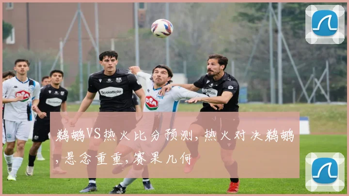 鹈鹕VS热火比分预测,热火对决鹈鹕,悬念重重,赛果几何
